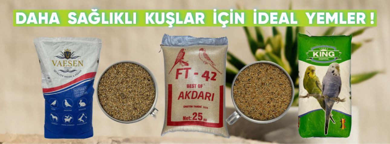 Dört farklı kuş yemi paketi, her biri farklı markalara ait ve çeşitli içeriklere sahip.