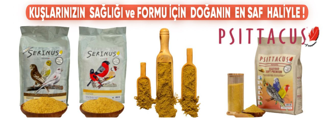 Farklı kuş yemleri ve besin takviyeleri içeren paketler ve şişeler.